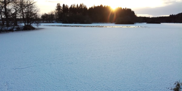 Sleeping on Ice