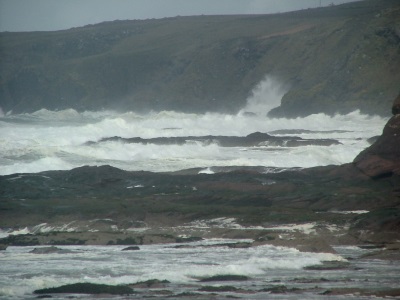 Drostan Shore in Spring